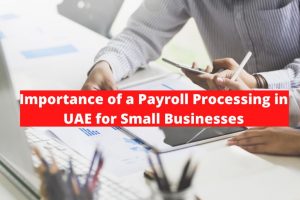 Payroll Services in UAE for Small Businesses