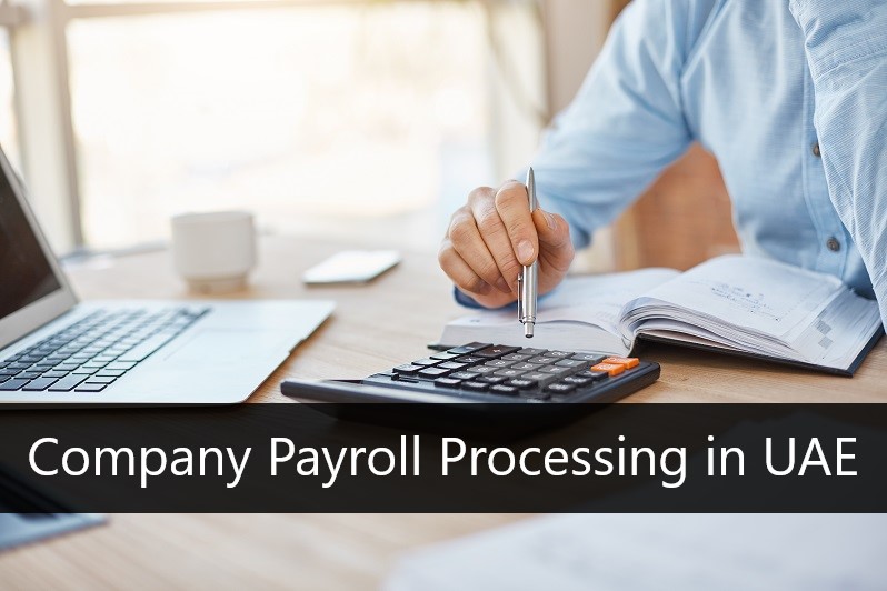 Company Payroll Processing in UAE