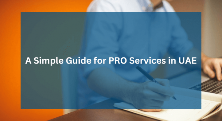 A Simple Guide for PRO Services in UAE