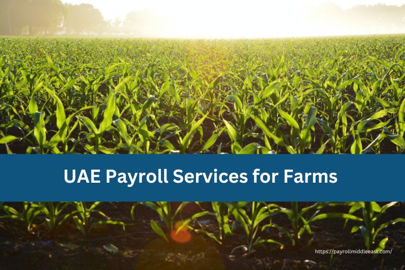 UAE Payroll Services for Farms